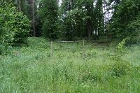 P6080697 - kopie